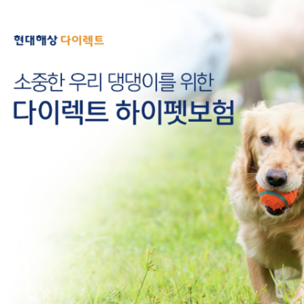굿앤굿우리펫보험 고급 상품 이미지