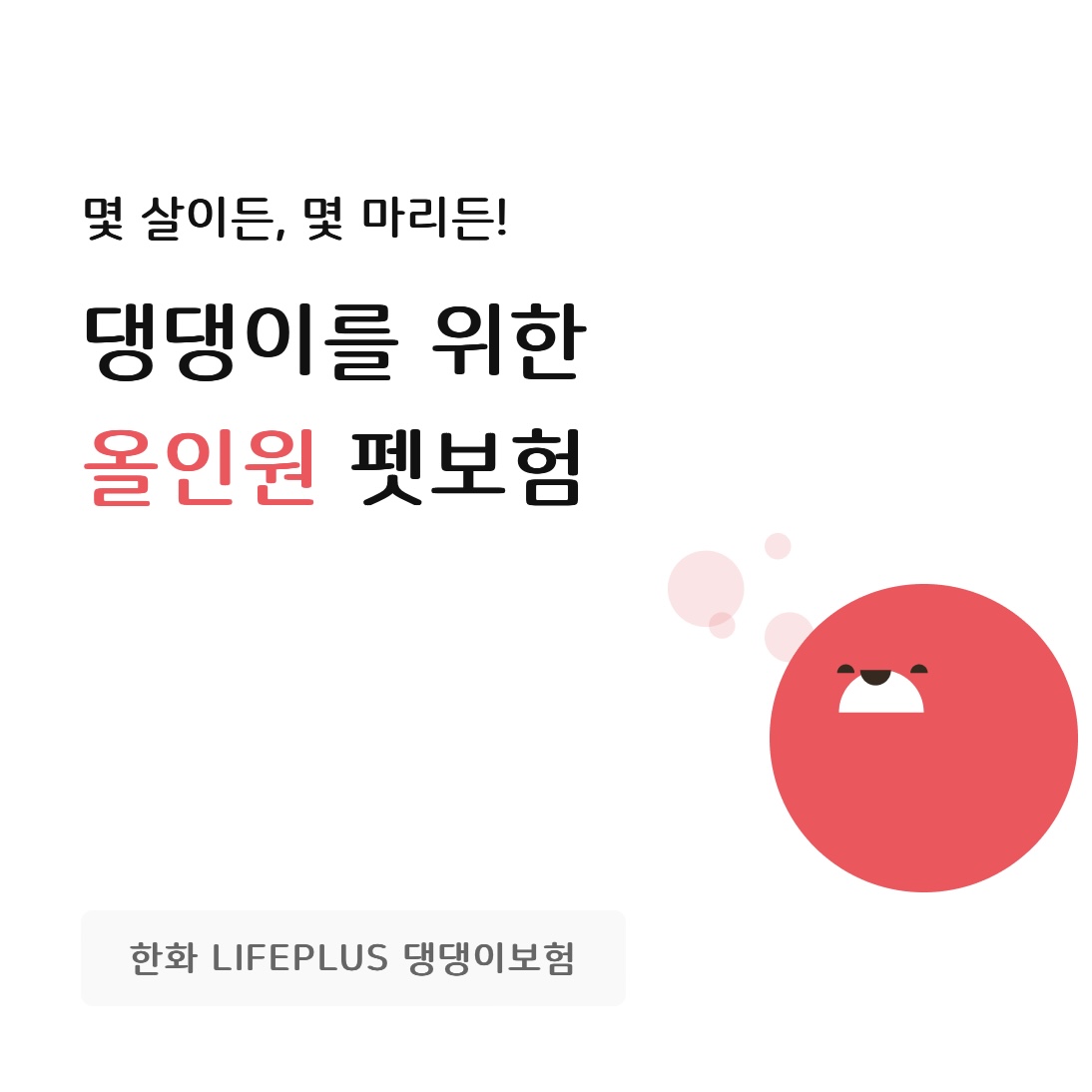 LIFEPLUS 댕댕이보험 기본형 상품 이미지