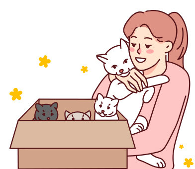 금쪽같은 펫보험 실속가득(고양이) 상품 이미지