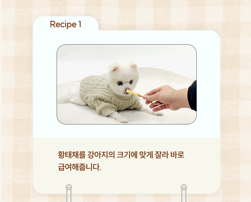흰 강아지가 손에 들린 황태채 간식을 받아먹는 모습