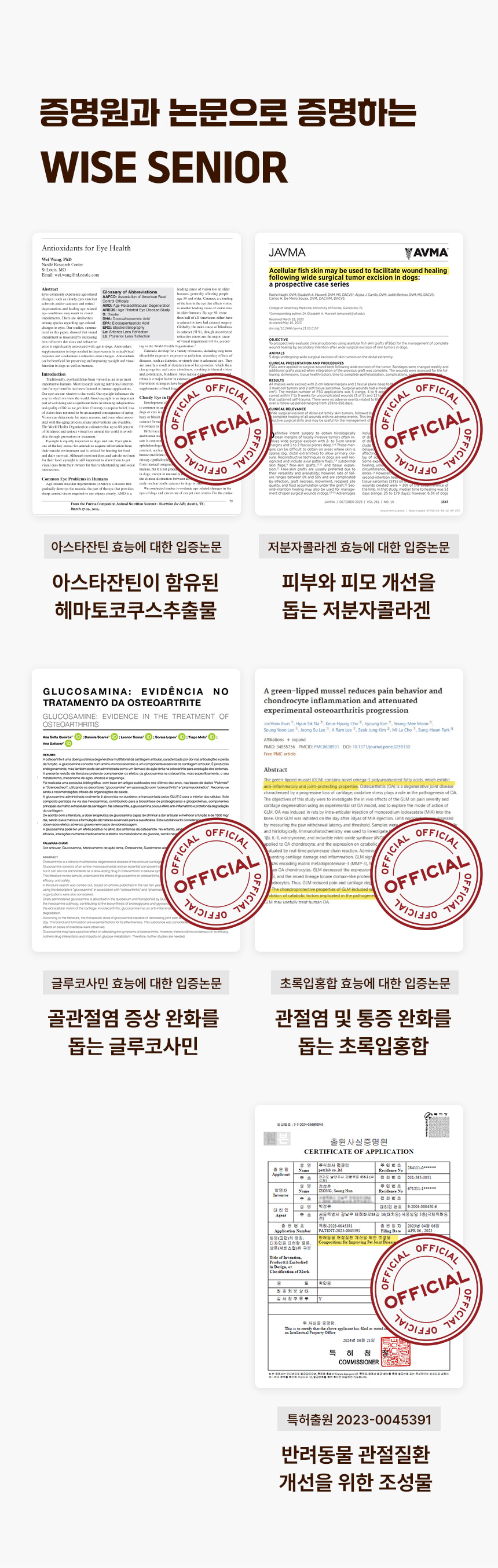 성분 효능 입증논문 4건과 특허출원 사실증명원 이미지