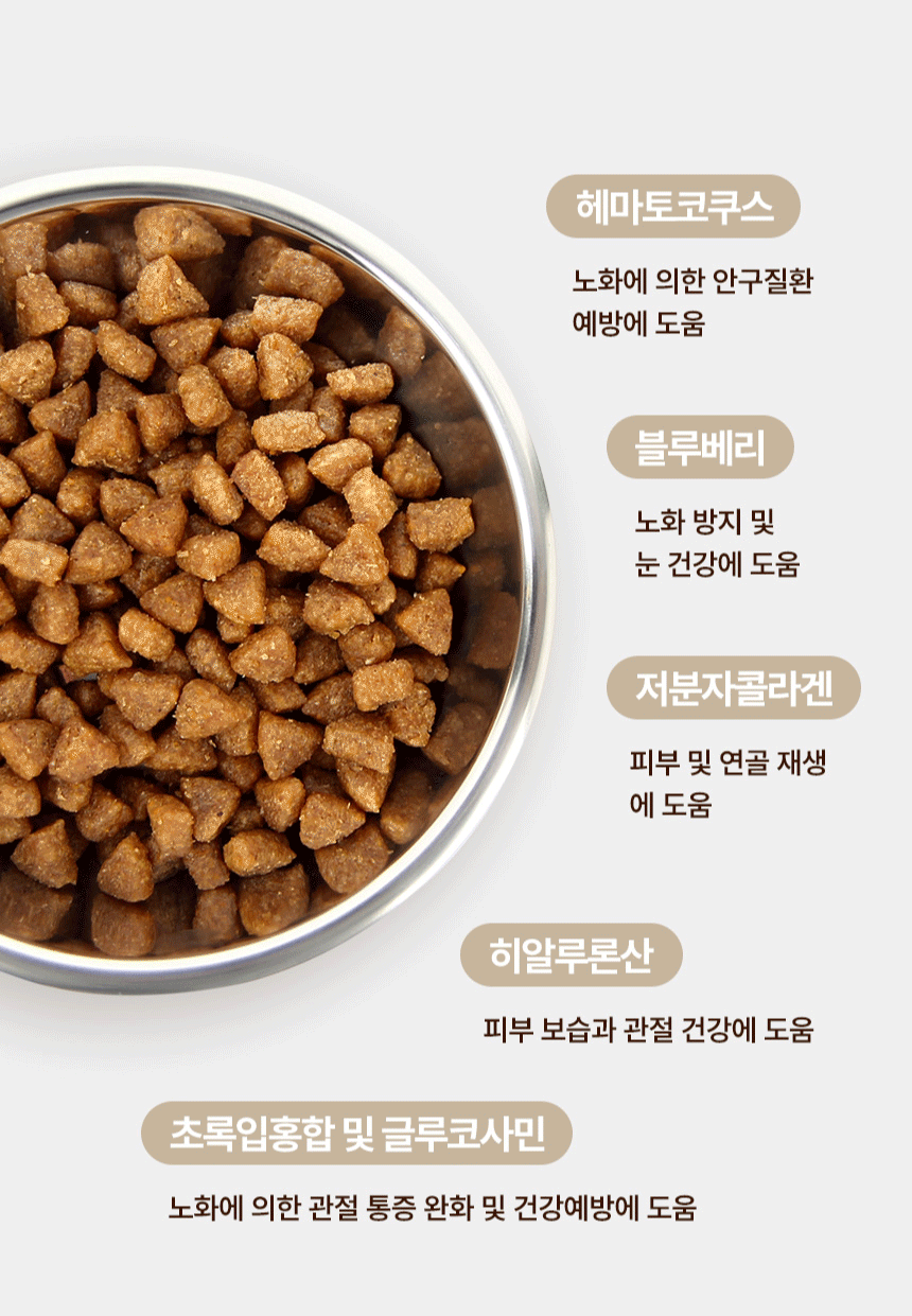 밥그릇에 담긴 사료 사진과 주요 원료별 효능 설명