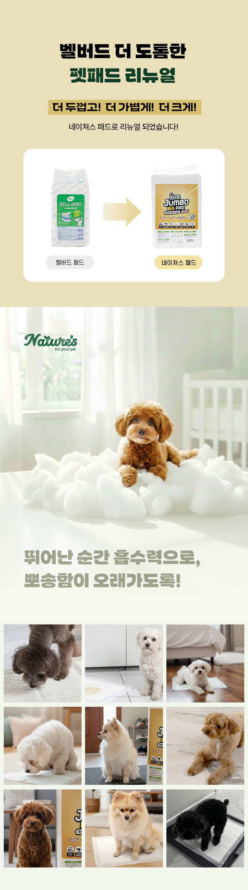 벨버드에서 네이쳐스 패드로 리뉴얼된 배변패드 안내와 강아지 사용 사진 모음