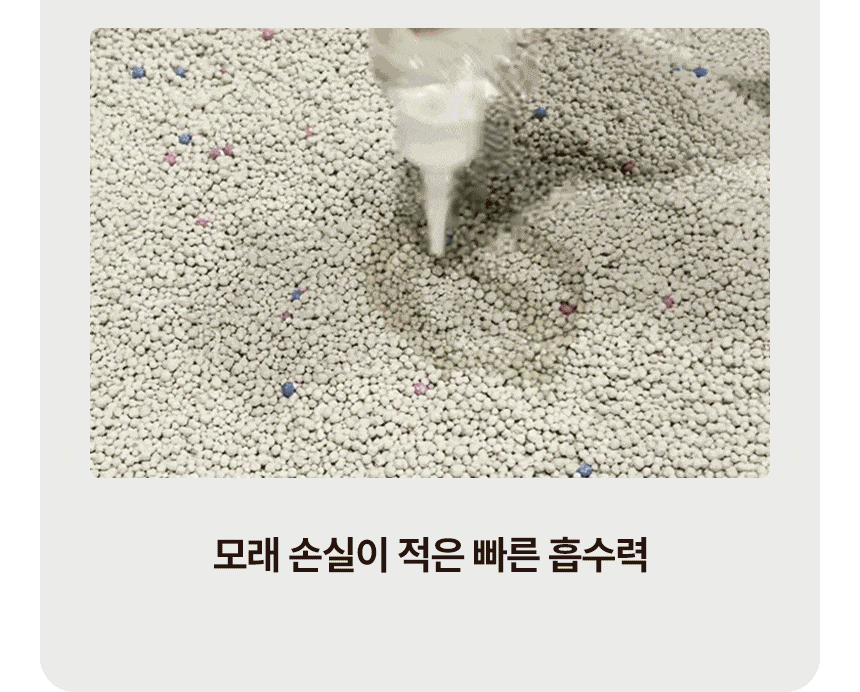 고양이 모래에 물을 부어 흡수되는 모습 사진