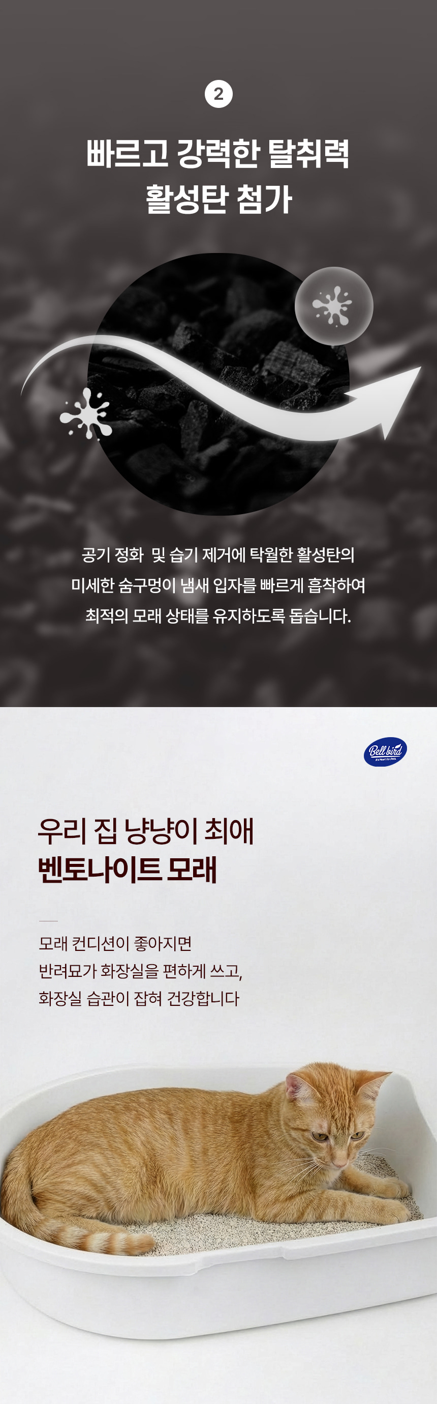 활성탄 탈취 설명과 화장실 모래 위에 앉은 고양이 사진
