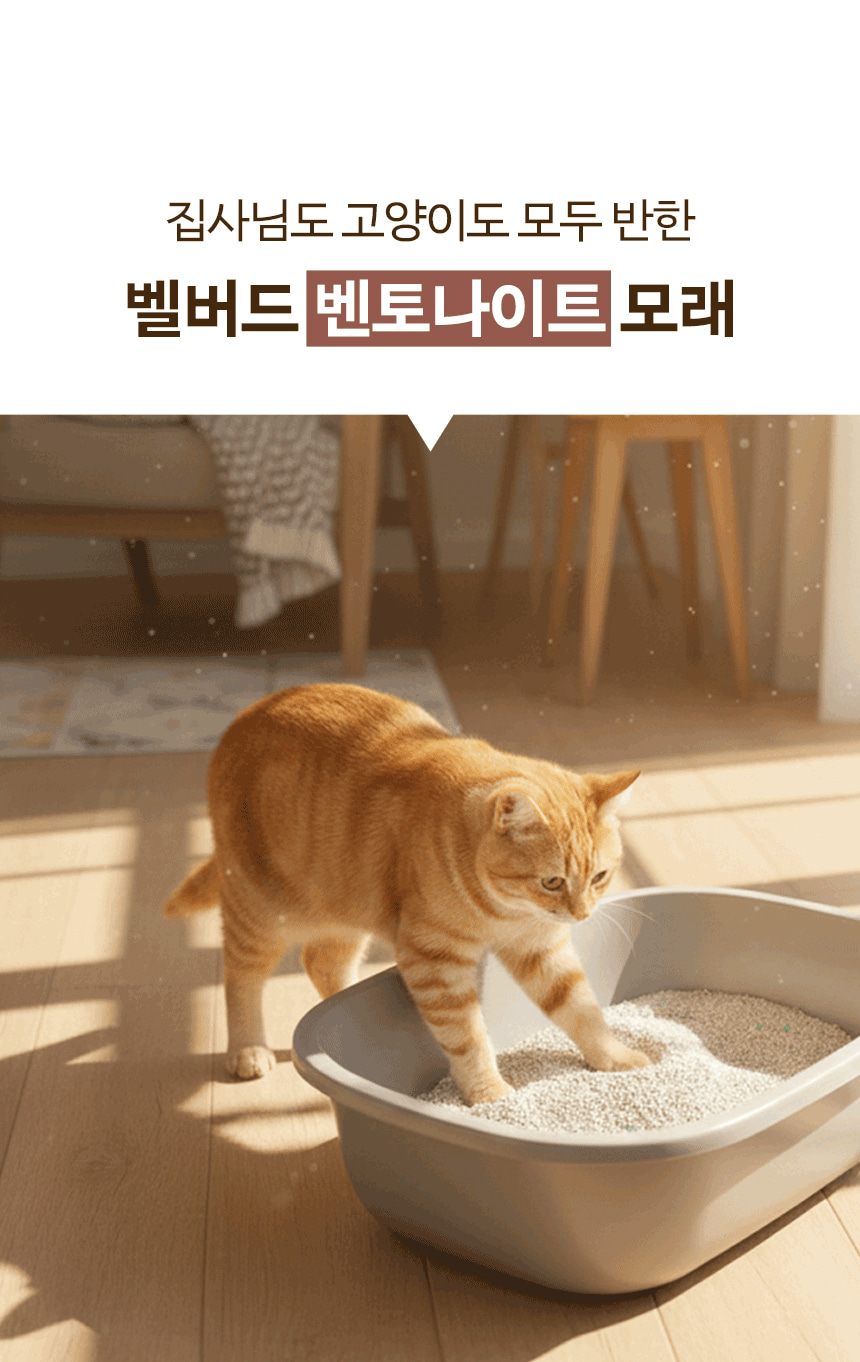 고양이가 모래가 담긴 화장실에 들어가는 사진과 제품명 문구