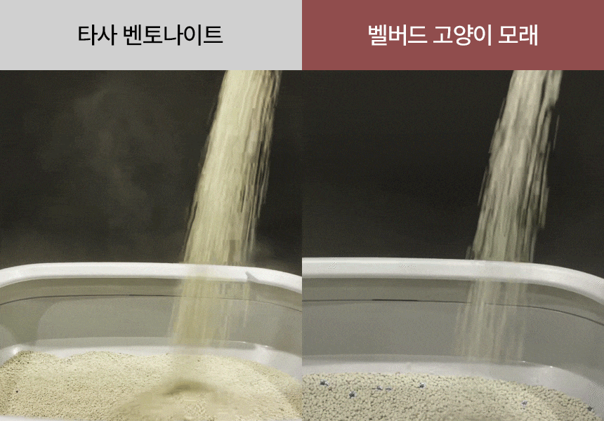 타사 모래와 벨버드 모래를 부을 때 먼지 발생을 비교한 사진