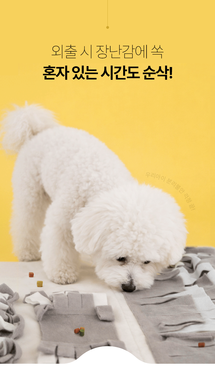 비숑 강아지가 노즈워크 매트에 코를 대고 간식을 찾는 사진