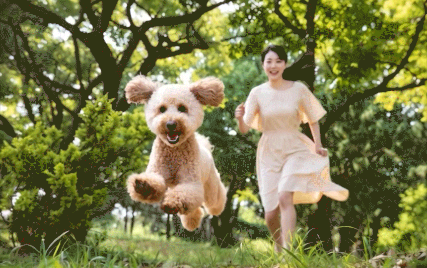 숲속 잔디밭에서 여성과 푸들 강아지가 함께 뛰노는 모습