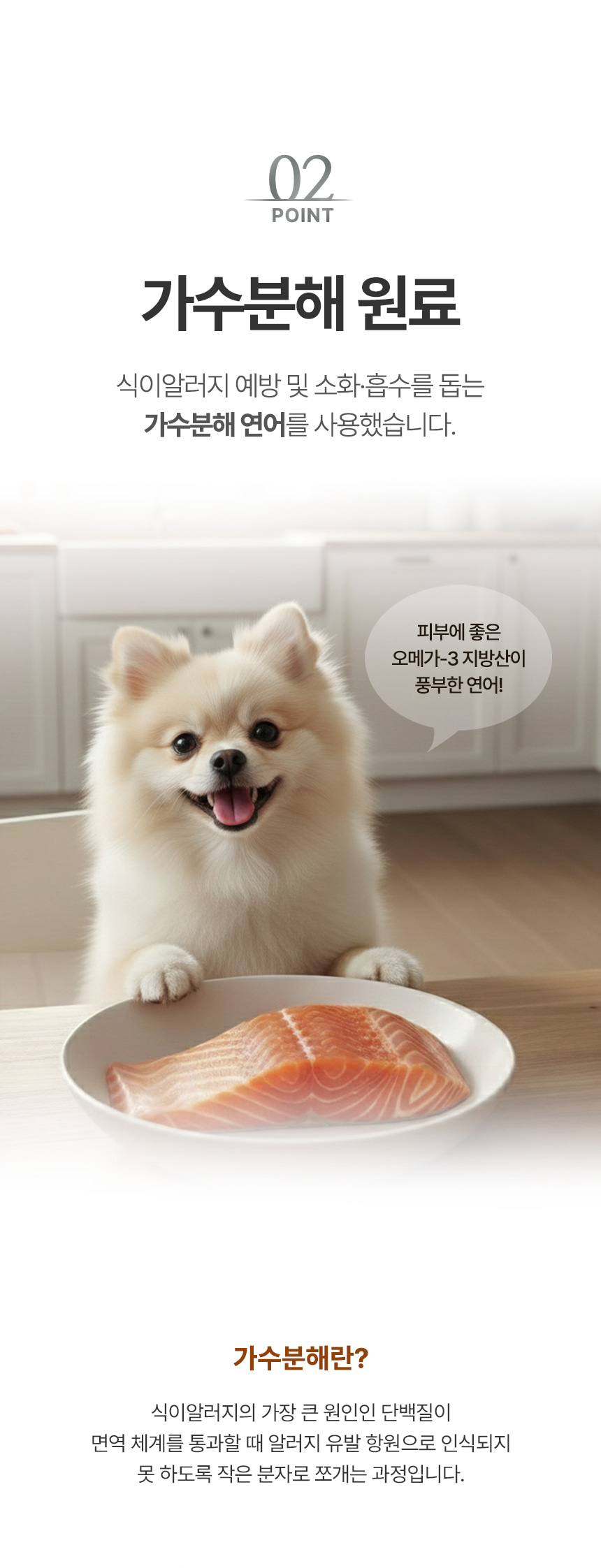 포메라니안과 접시 위 연어 사진으로 가수분해 원료를 설명하는 이미지