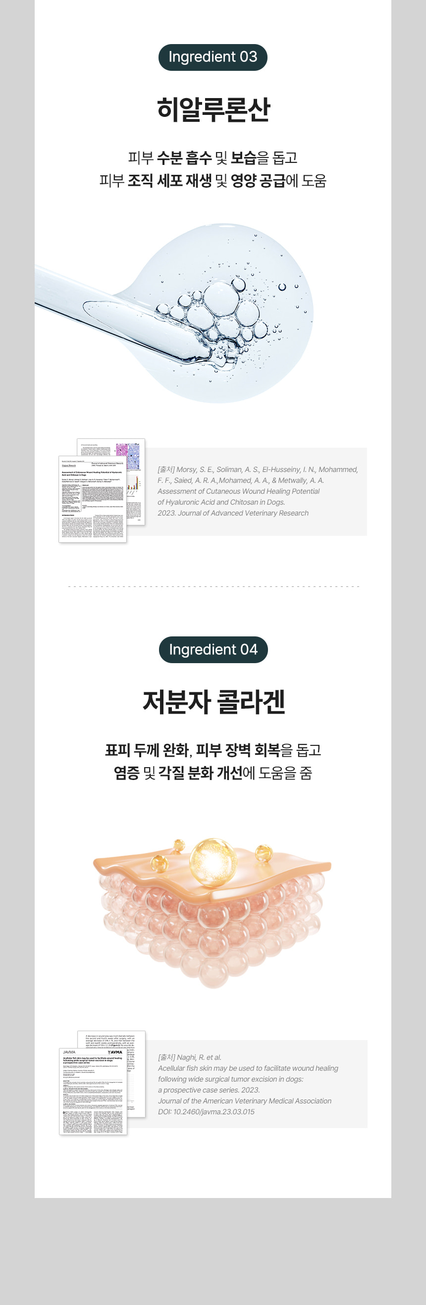 히알루론산과 저분자 콜라겐 성분 설명 및 논문 출처 이미지