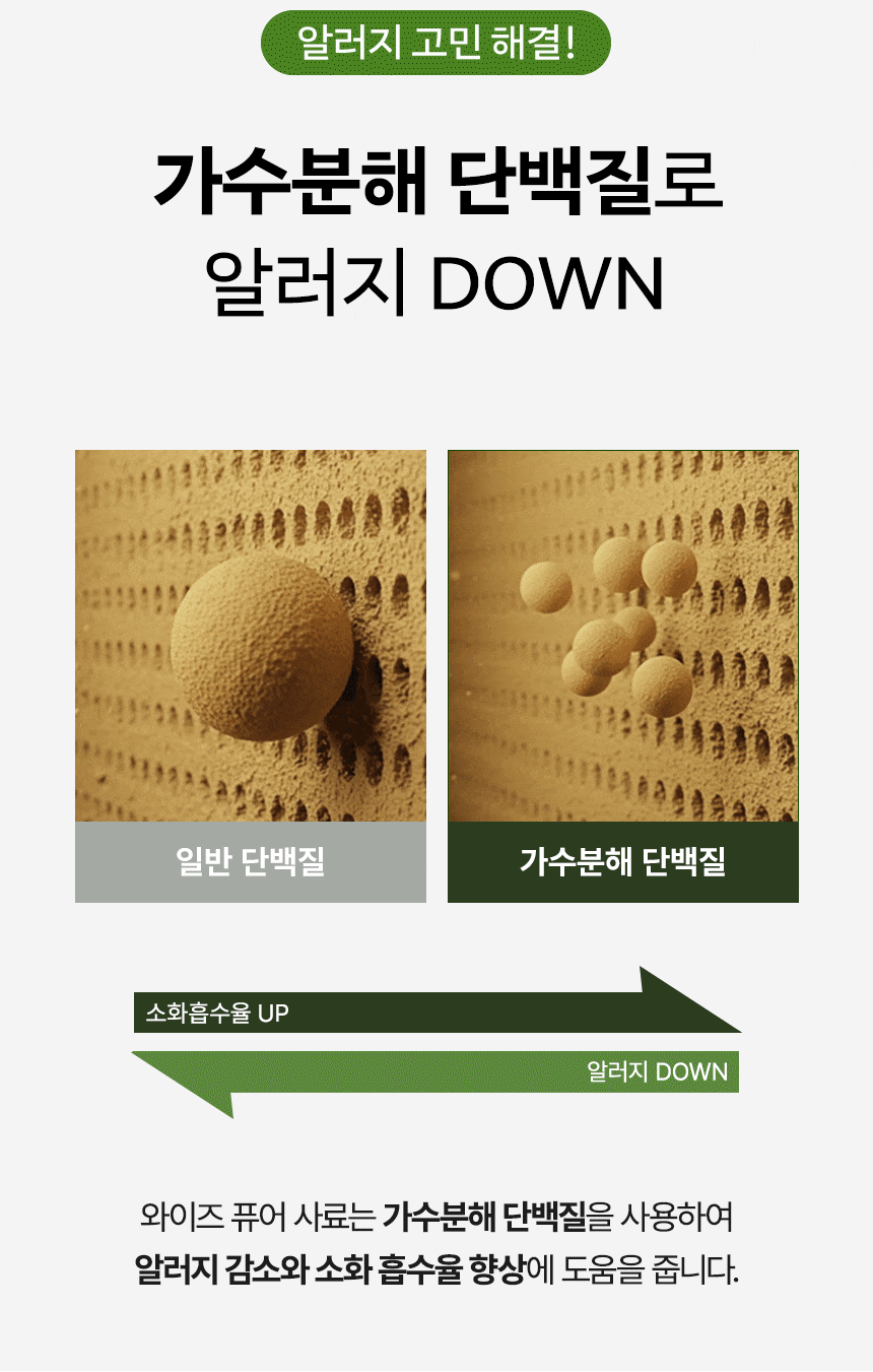 일반 단백질과 가수분해 단백질 입자 크기를 비교한 이미지