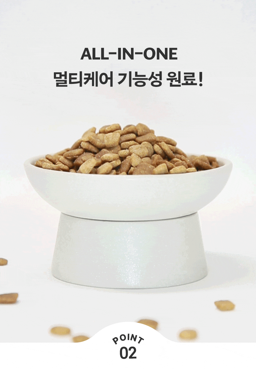 흰 식기에 담긴 사료 알갱이 사진과 문구
